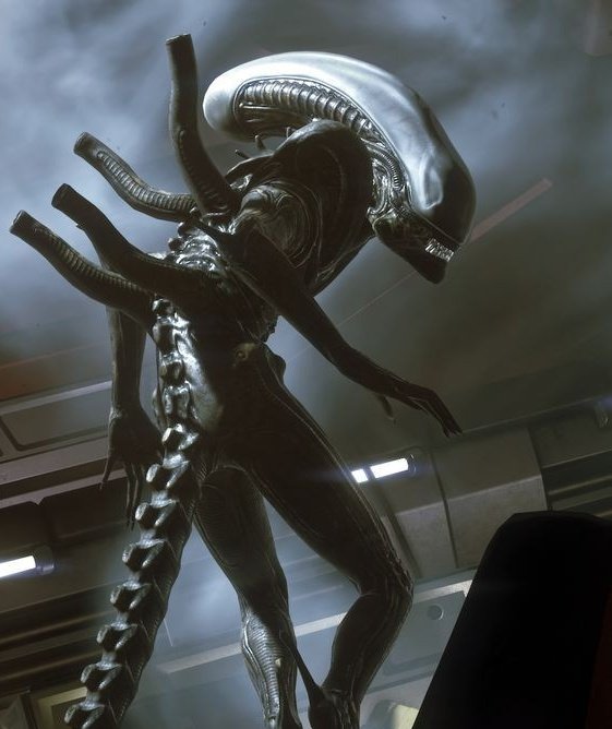 bro the designs of both the t-800 and the xenomorph are some of the most beautiful and aesthetically pleasing antagonists to me in all of sci-fi/horror I just love them soo much