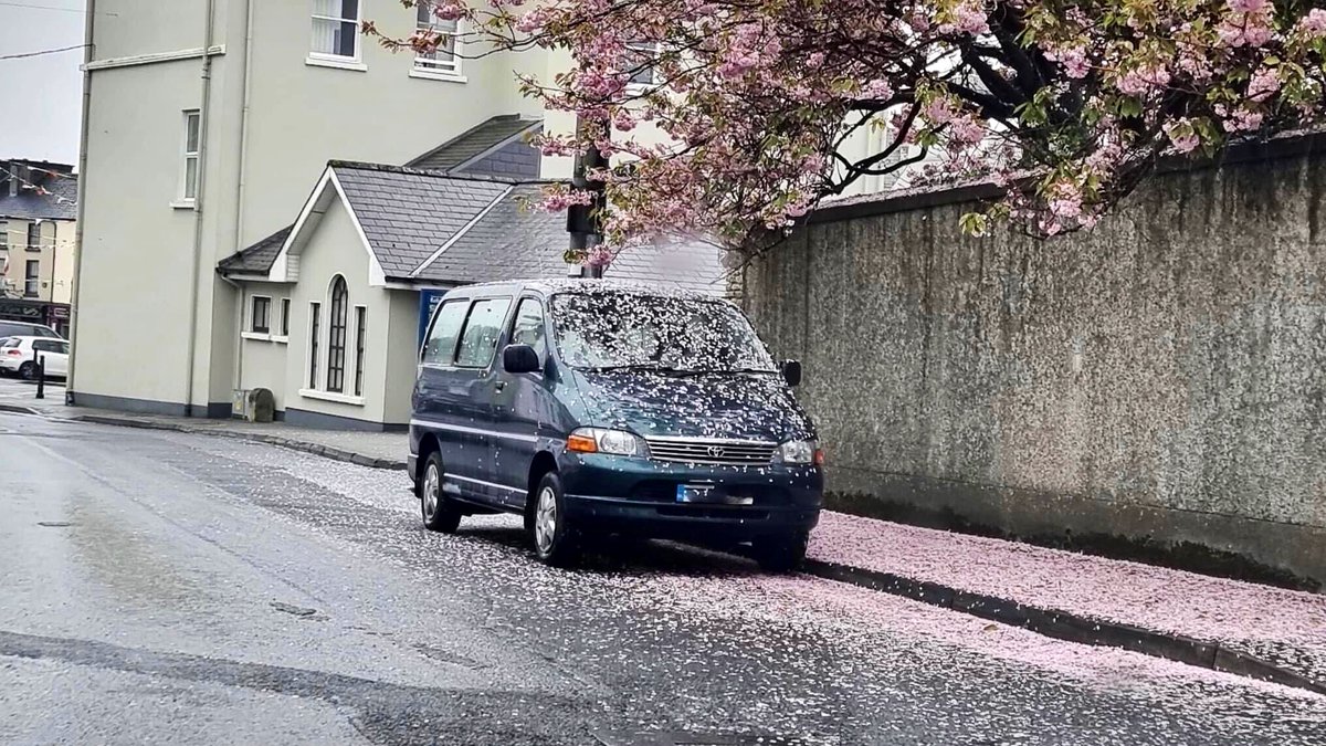 Never park your van under a Cherryblossom tree in late April 😫 #ChapelLane #CathedralStreet