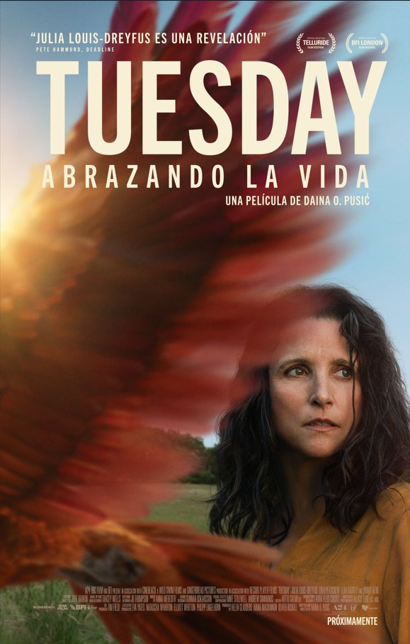 #Tuesday, Abrazando la vida, nueva #película de A24, impactante historia entre la realidad y la fantasía sobre los ecos de la pérdida y encontrar resiliencia en lo inesperado. Presenta @CorazonFilms #proximamente con Arinzé Kene, Lola Petticrew, Julia Louis-Dreyfus y Leah Harvey