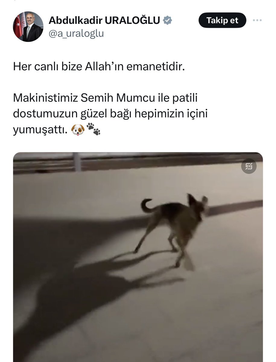 Sn Bakanım, sahipsiz başıboş köpekler yüzünden son 4 yılda 2.700 trafik kazası meydana geldi, 400’den fazla insan doğrudan köpek saldırısı yüzünden yaşamını kaybetti, kurbanların çoğu çocuktu, Ankara Keçiören’de 9 yaşında Tunahan ciğerlerine kadar parçalandı, Sağlık Bakanlığı…