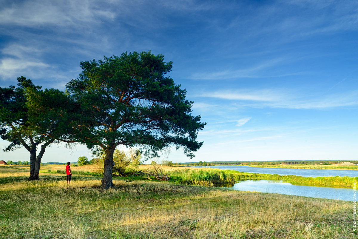 Beautiful sights await you at the Oder Valley. 🌳🦌 As Germany's sole wetland national park, this pristine natural landscape promises awe-inspiring views. With its picturesque river and meadow scenery, it's an ideal destination for nature lovers and explorers!