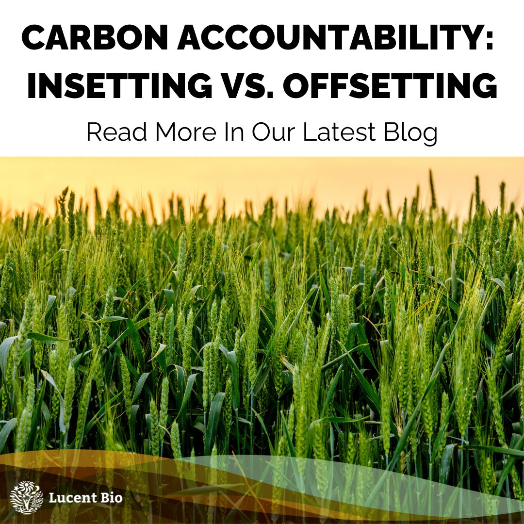 Dive into the world of carbon accountability! 🌍 Learn about the difference between carbon insetting and offsetting in our latest blog. Read more: hubs.ly/Q02tQfVC0 #CarbonFootprint #EnvironmentalResponsibility