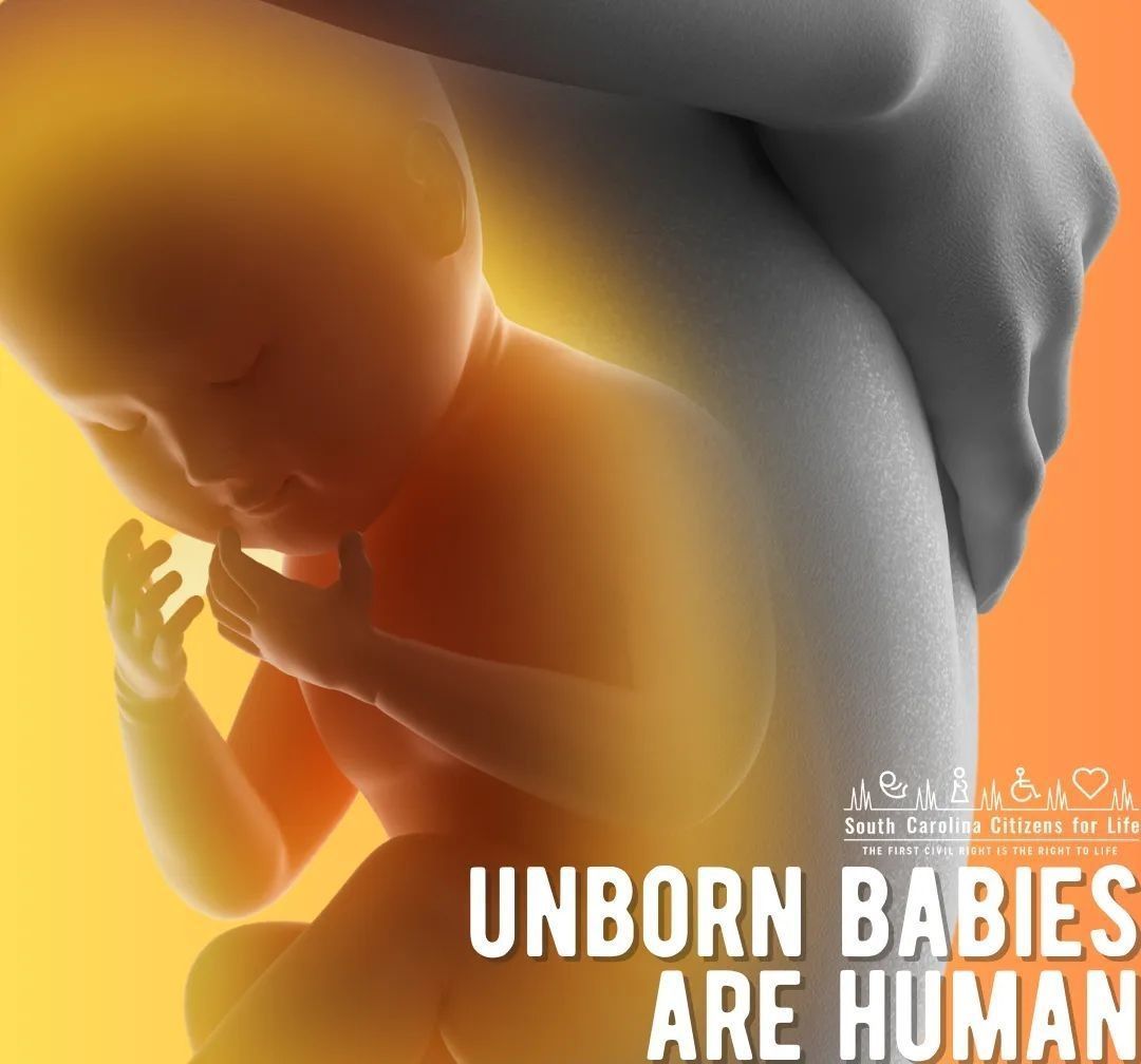 Unborn babies are human!