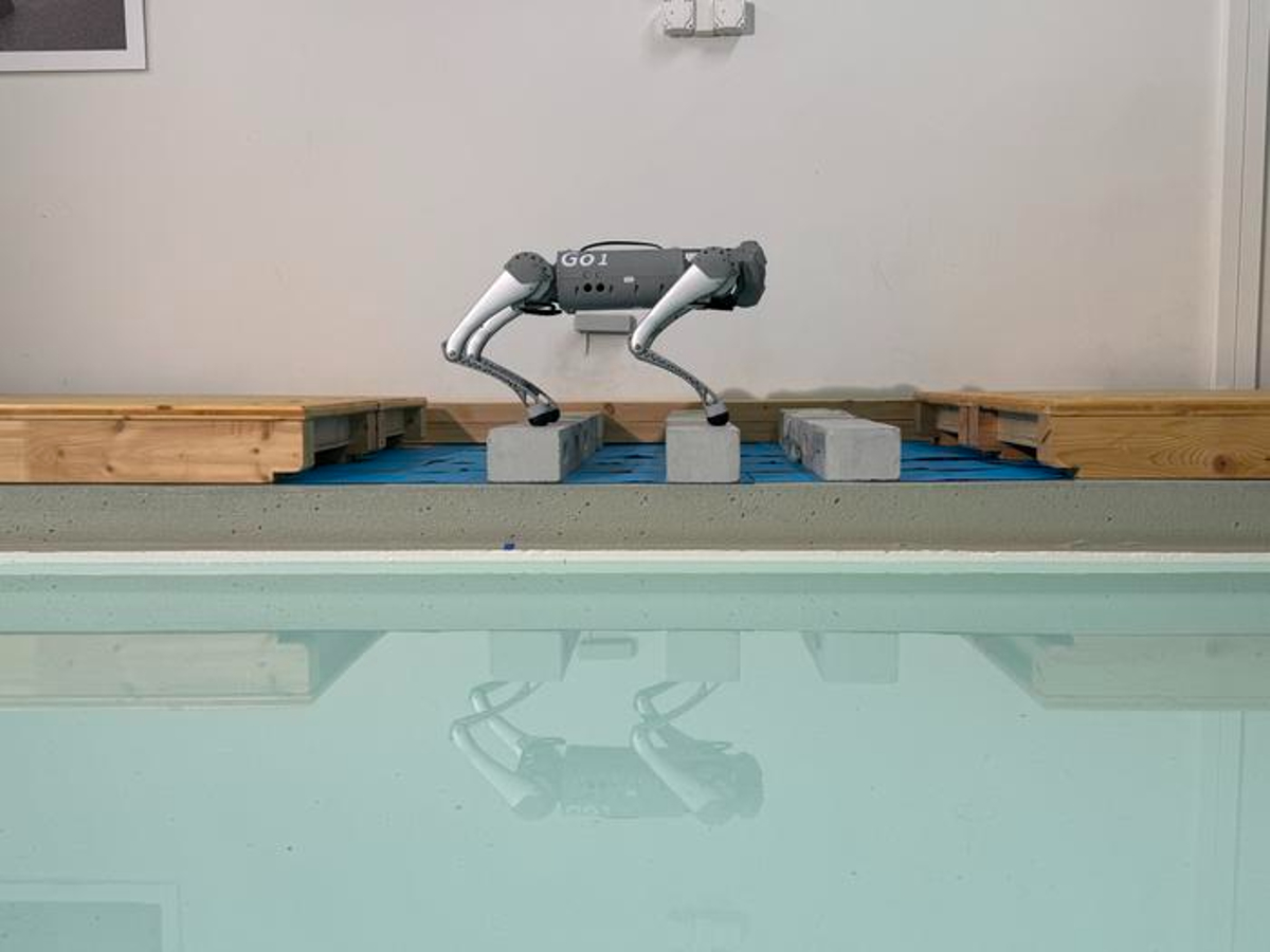 Robot Masters Terrain with Animal-Like Gait Transitions

Researchers have successfully trained a quadruped robot to navigate complex terrains by autonomously switching between different gaits, including trotting and a springbok-like pronking. 

The team focused on viability or