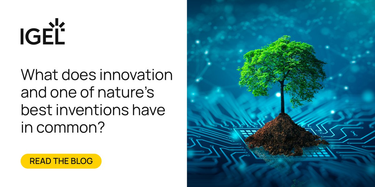 Innovation and one of nature’s best inventions unite to plant the seeds for a sustainable future at #igeldisrupt24.#technology #sustainability #plantfortheplanet #trilliontrees  bit.ly/3WmSTpd