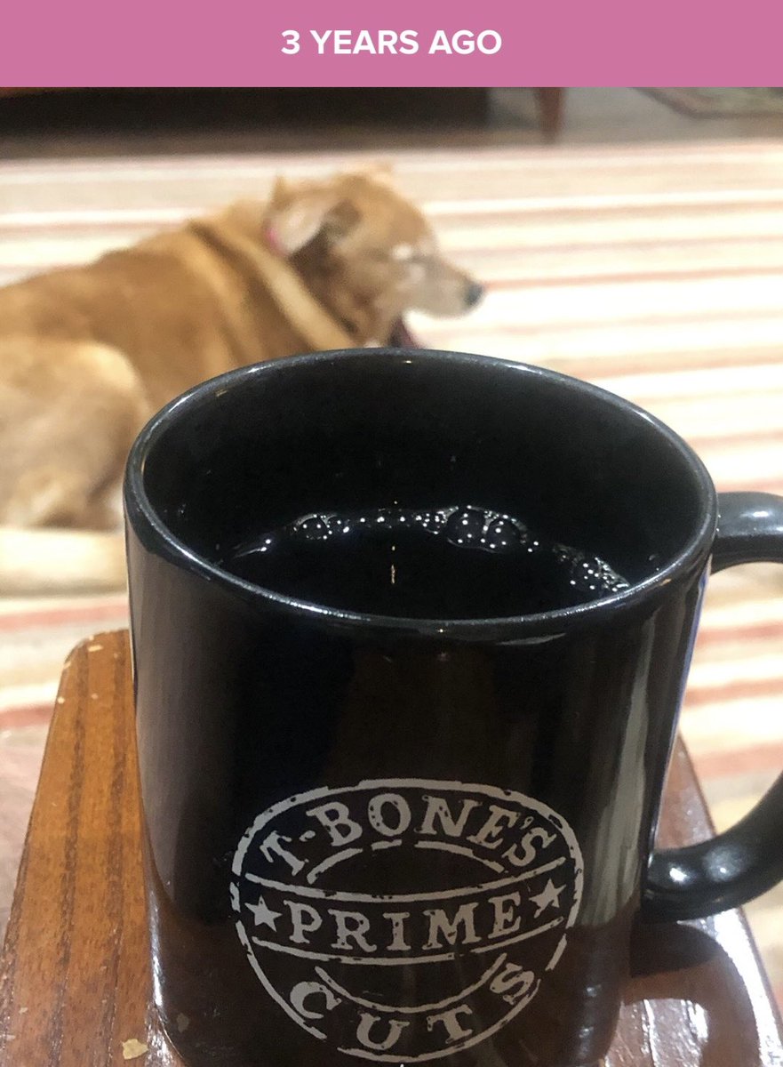 Get your #TBPC coffee mugs here: tbpcpodcast.com/store/ Available in Black w/White logo or in White w/Black logo. (Cup and Dog: courtesy of @jasonmitchell!)