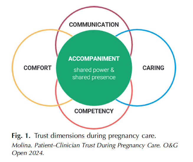 In addition to communication, comfort, caring, and competency, accompaniment is a unique dimension of trust in pregnancy clinicians among patients whose preferred language is Spanish. ow.ly/rqh150RsR2x