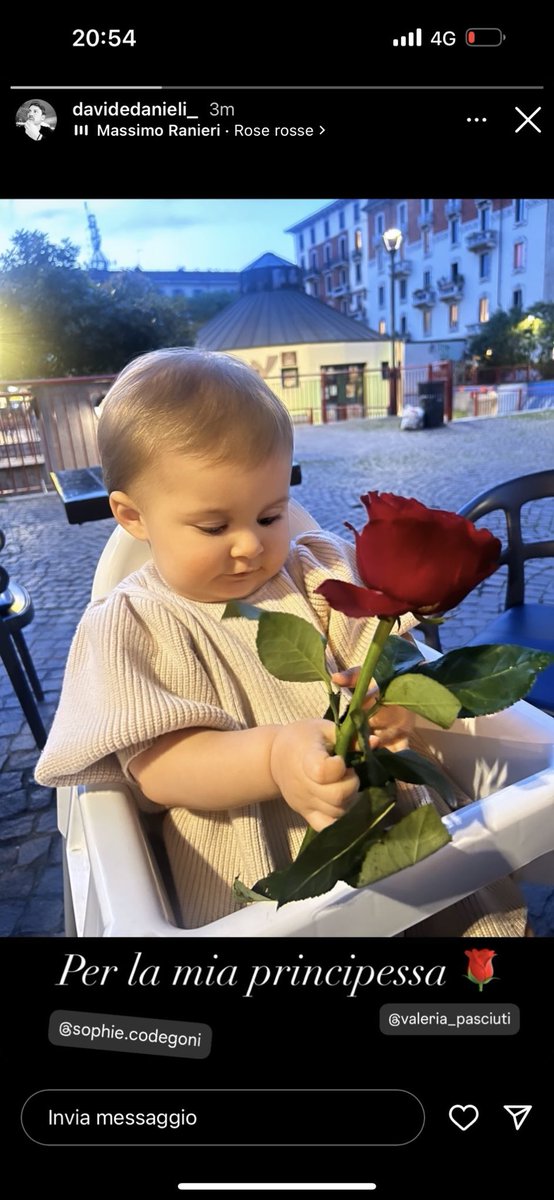 La rosa più bella 😍 Celine 🥰 #basciagoni