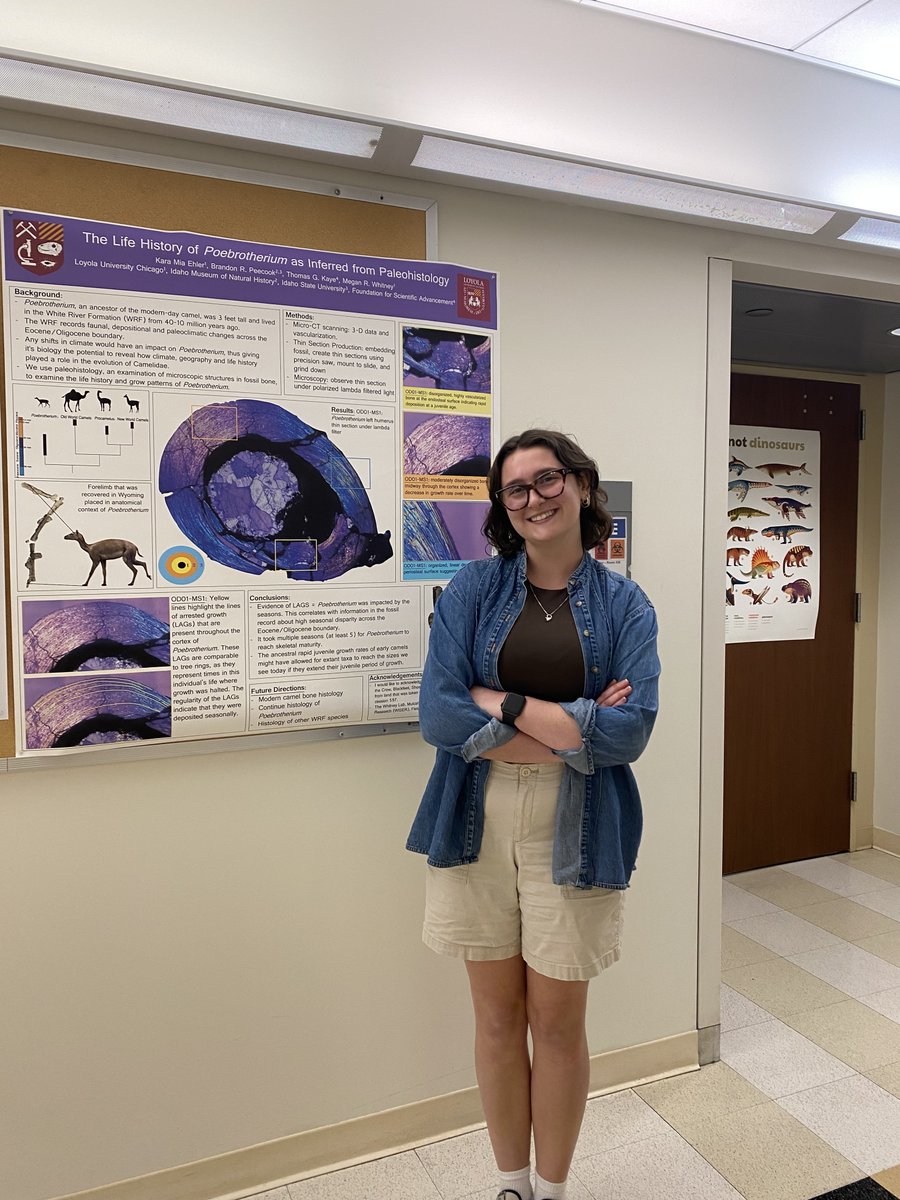 Check it out! @karamiaehler won top overall poster at this past weekend's Chicago Area Undergraduate Research Symposium! Her research is on the life history of the mini camel Poebrotherium 🐪 caurs.com/caurs-2024-2