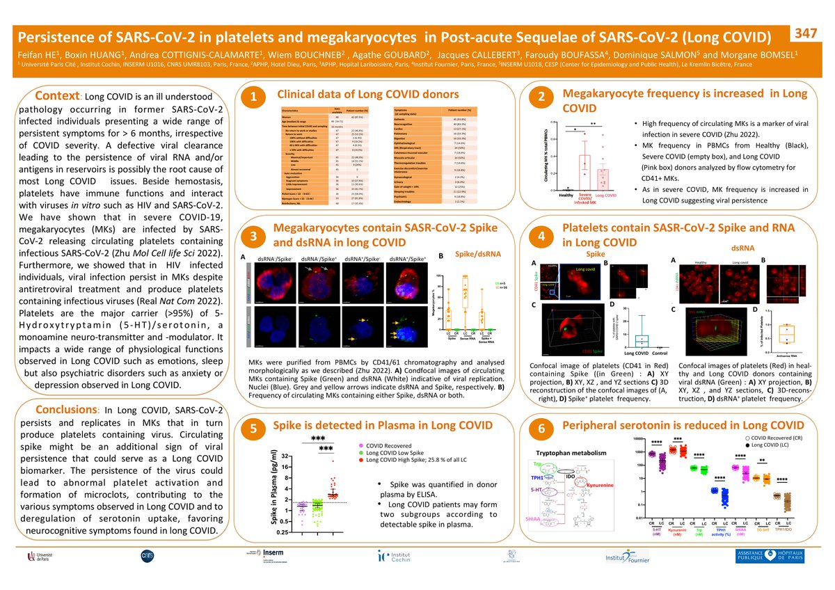 Megakaryocytes seem infected with SARS2 in people with long covid in study. They're platelet factories in bone marrow and if infected, could then poison the blood downstream with platelets containing virus and fragments.
Cells born infected/contaminated.
croiconference.org/abstract/persi…