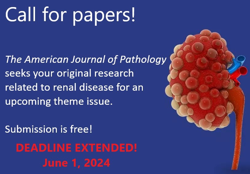 One more month in our #CallforPapers related to #RenalDisease! Send in your #mechanistic discoveries for consideration today- submission is free! editorialmanager.com/ajpa/default2.…