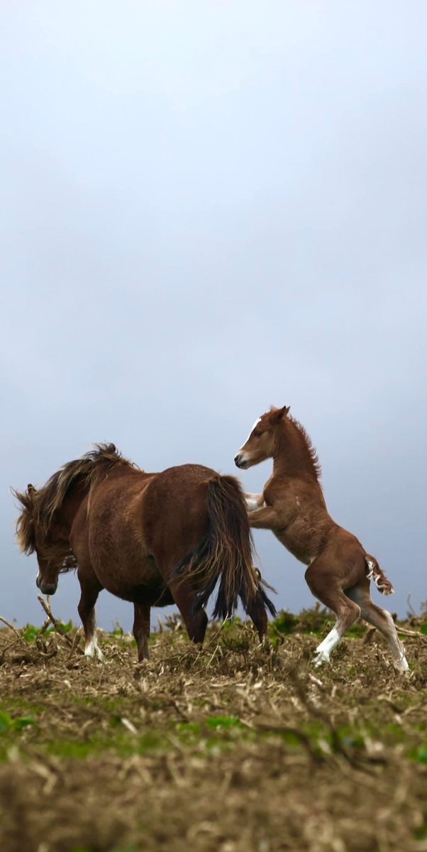 Spring has sprung. Melanie Short has been busy with her camera