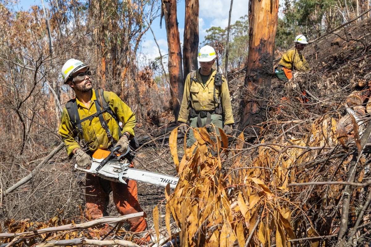 Have you always wanted to apply for a @Interior wildland fire job but didn’t know where to start? It all starts with @USAJOBS. Learn how you can create an account and find the career for you: nifc.gov/careers/how-to… Photo: DOI 

#FireJob #NotYourOrdinaryJob