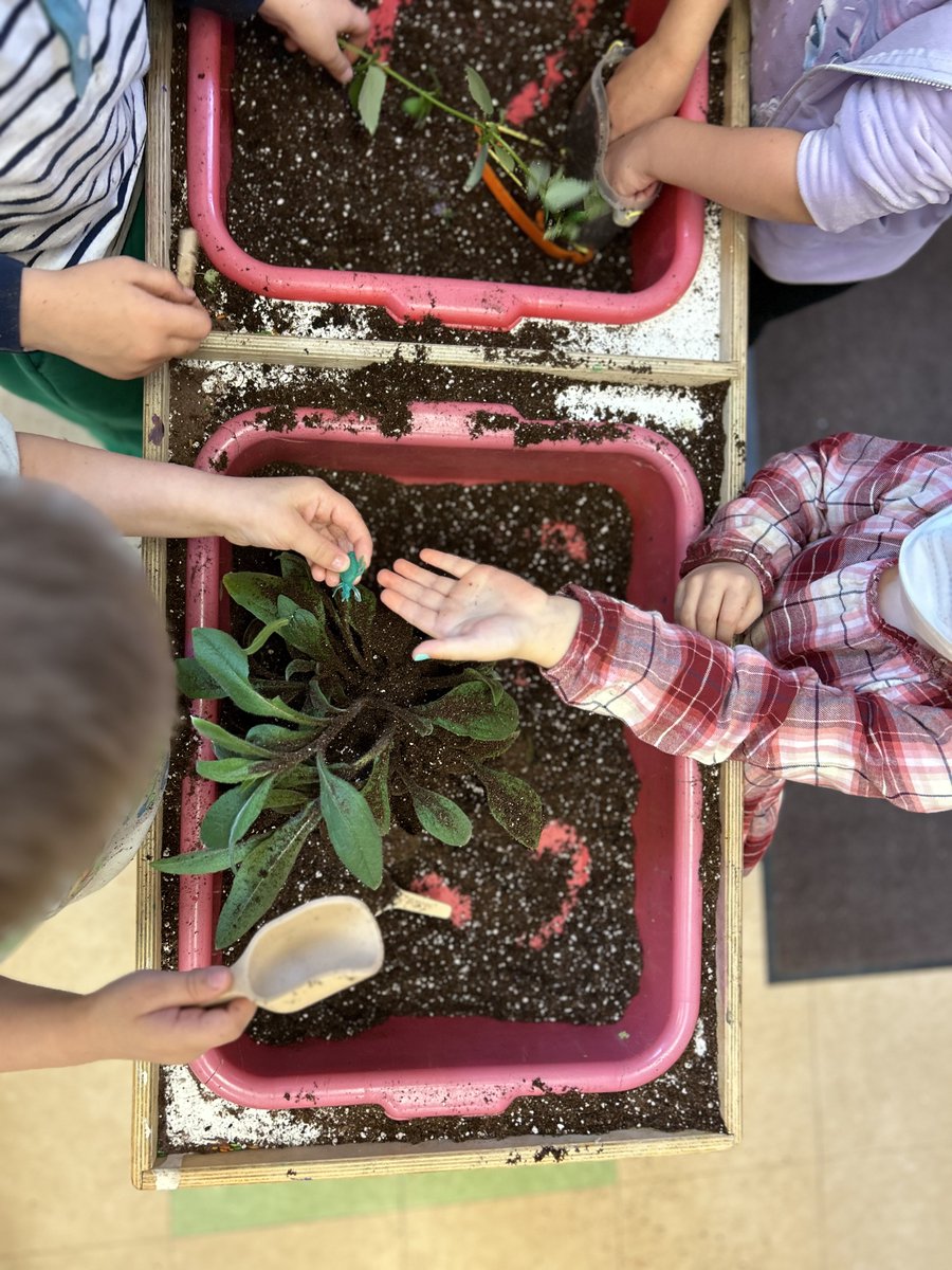 As Native Plant Month draws to a close, we wanted to highlight some of the things we did this year for Earth Day!🌎

Read more here--> instagram.com/p/C6Zpj2Euir0/…

#NativePlants #NativePlantMonth #EarthDay #Education #Community #Environment