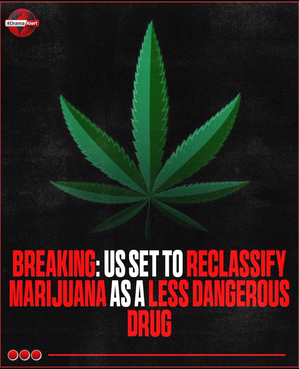 US reportedly set to reclassify marijuana as a less dangerous drug. ‼️🌲