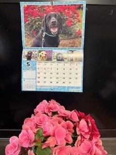 飼い主の嘆き
cestlavie889.blog135.fc2.com/blog-entry-390…
日本介助犬協会のカレンダー