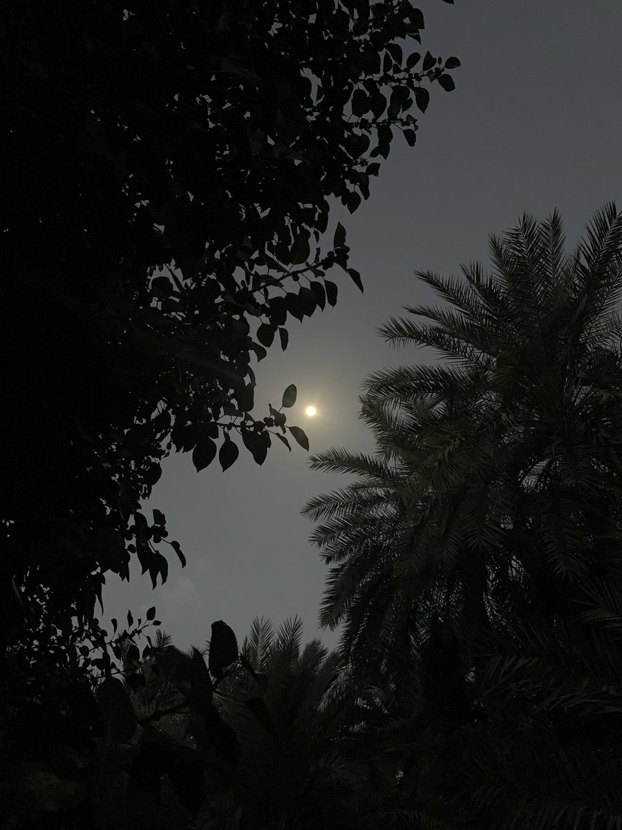 أسامِرُ #الليلَ بالأشواقِ أرسلهَا
 لَعلَّ طيفًا مِنَ #المحبوبِ يأتينَا