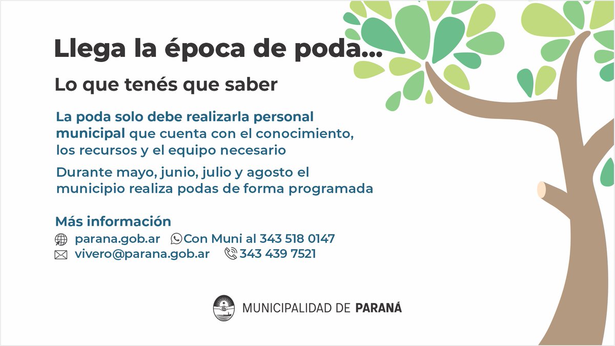 Temporada de #Podas 🪵🍂 Un plan que se realiza según los parámetros necesarios de cuidado para el arbolado urbano

🌳🌲 Los árboles que se encuentran en la calle solo pueden ser podados o extraídos por la Municipalidad

parana.gob.ar