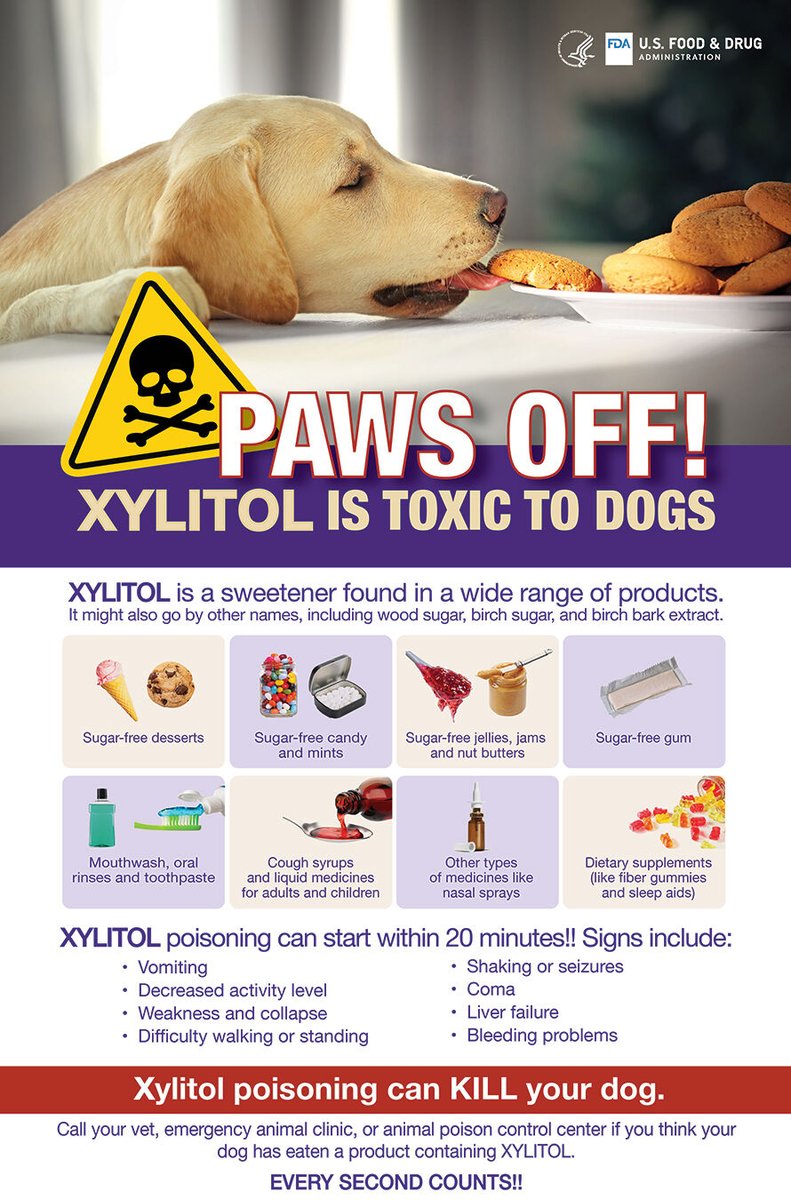 Xylitol, also known as Birch Sugar, is highly toxic to dogs. Call a vet immediately if you suspect your dog has consumed it.

PotcakeRescue.com

#WeAreRoyals 👑
#DogRescue
#IslandDog
#Potcake