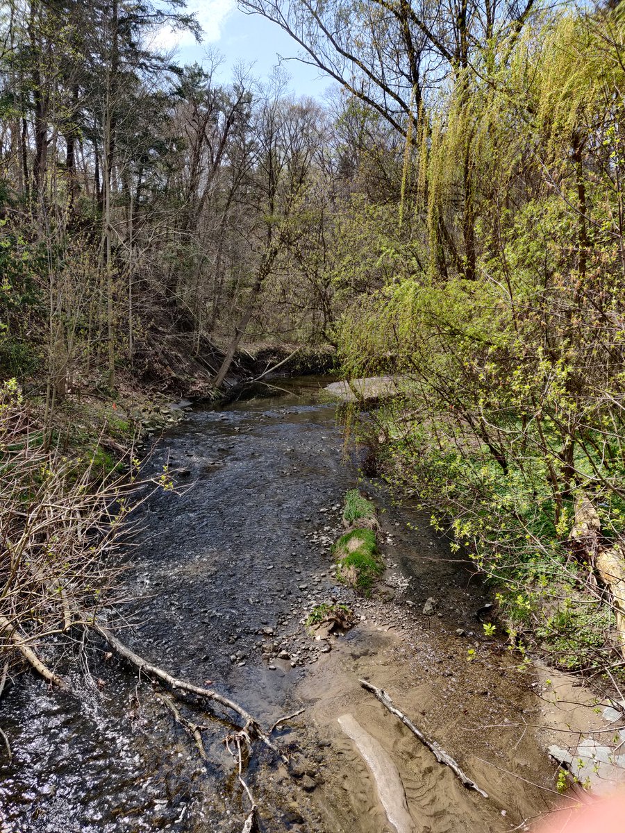 #WilketCreek outside Toronto... Nice day and discussions with @UWaterloo folks! Almost ready for #ISE conference!
@ECoENet @KITKarlsruhe #ecohydraulics