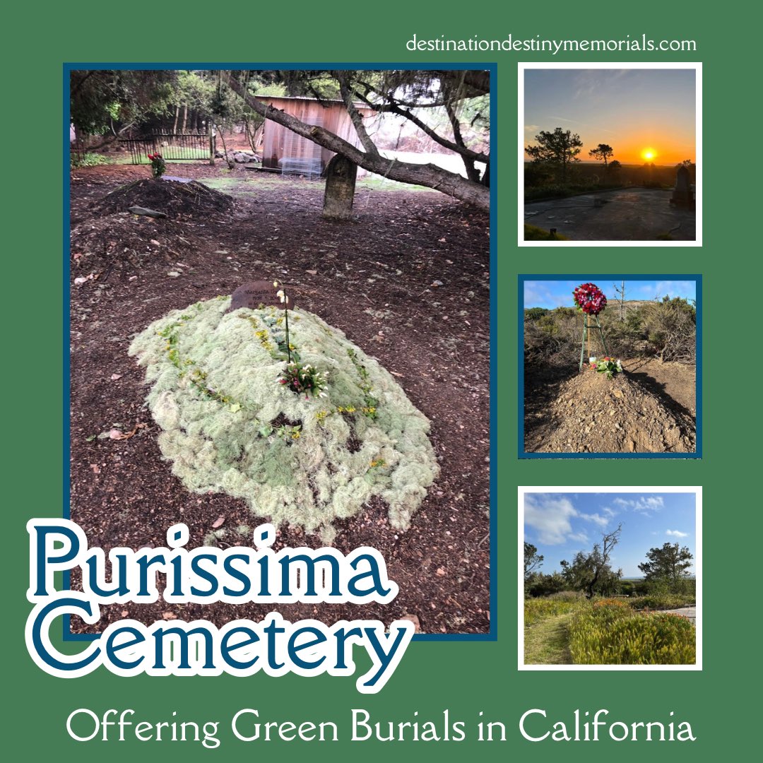 With sweeping views of the Pacific Ocean and two miles of trails through breathtaking nature, Purissima Cemetery is a resting place like no other. Learn more by visiting destinationdestinymemorials.com. 

#sanmateocounty #purissimaca #sanfrancisco #sanfranciscoca #greenburialcalifornia