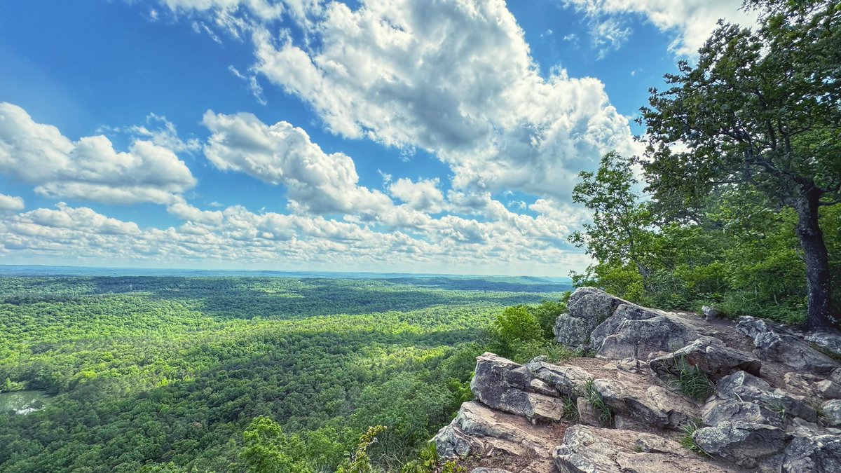 What a day it's turned out to be! The rain this morning moved out, the landscape already looks more green, and that sky is 💯 📸: David Graves at King's Chair (Oak Mountain State Park)