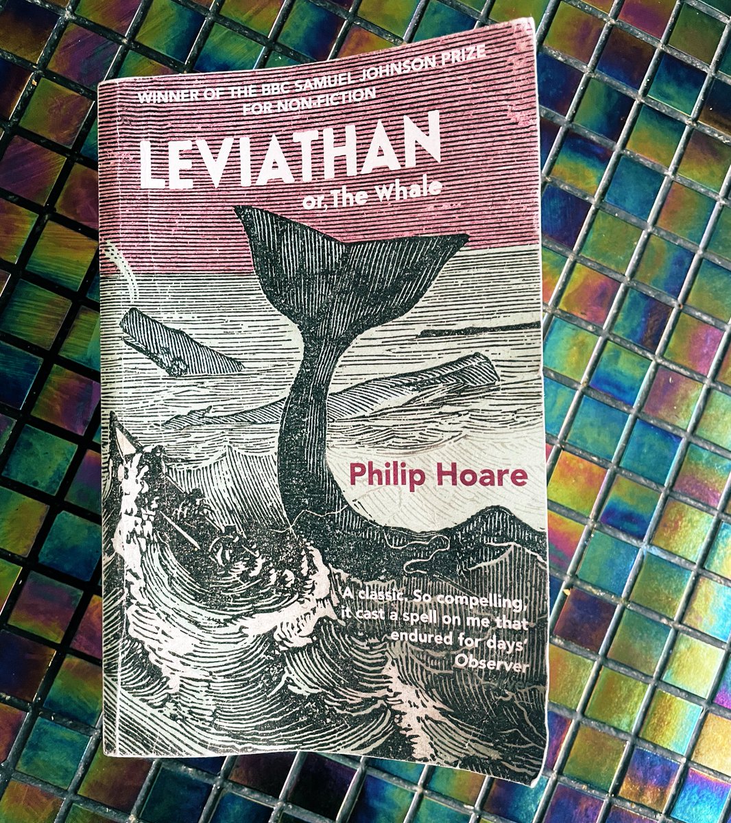 Whales. I’m glad it’s not just me. A fascinating and fascinated book written by @philipwhale and dominated by reflections on #MobyDick and #HermanMelville, but also diving much deeper into our allegorical relationship with them 🐳 

Me? Our number will go up first… 
#booklovers