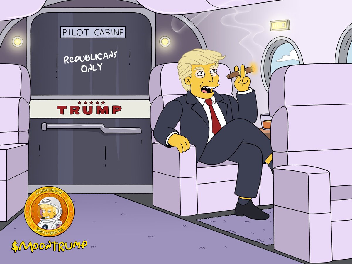 Just got some $TRUMP. With the election nearing, it's a good dip to buy. My strategy is to get ahead of the crowd.

This could end up pumping really Hard!!!