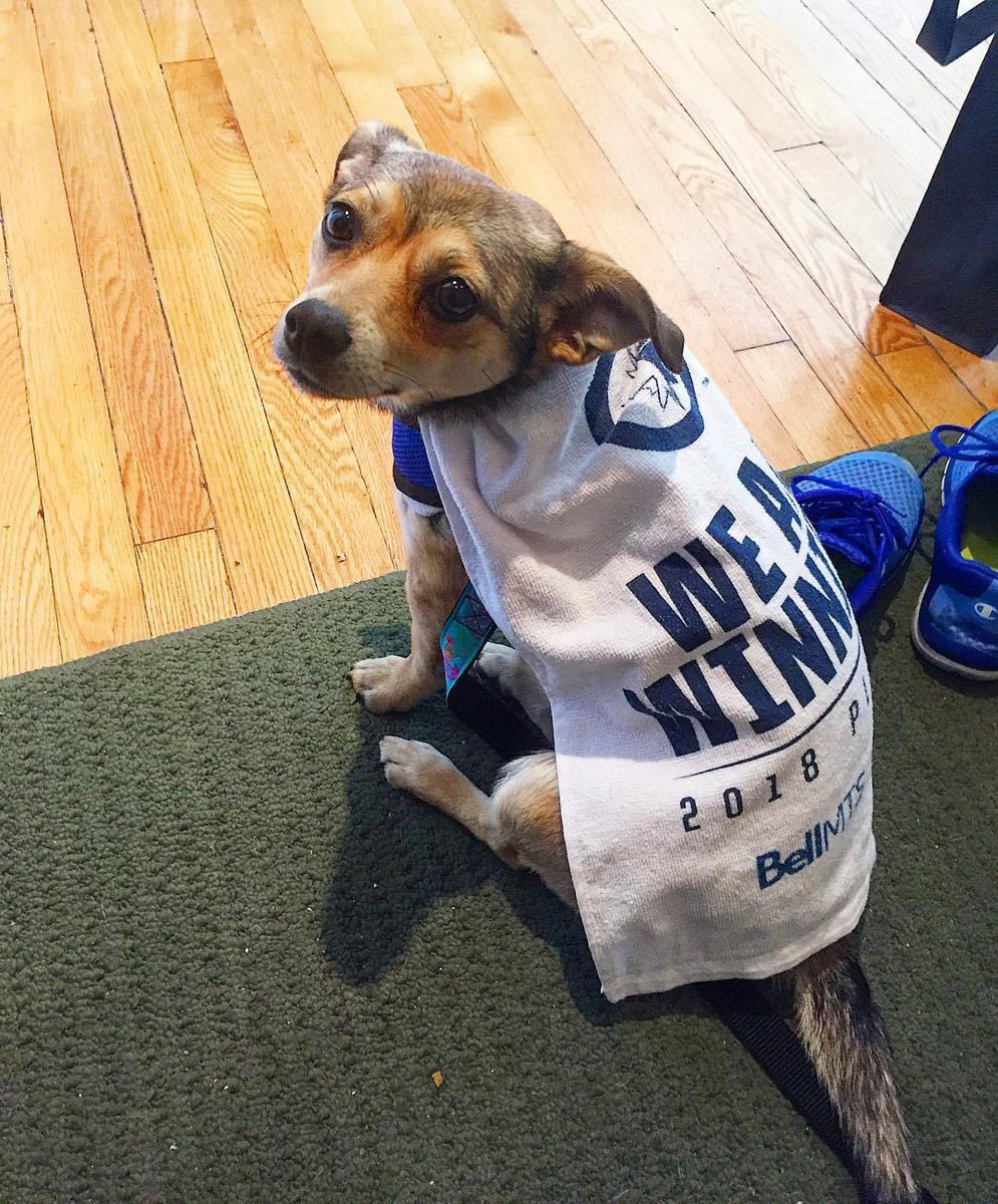 Jets pets roll call. The team needs all the help it can get! BELIEVE! #NHLJets #GoJetsGo 🐕 🐈 🐠