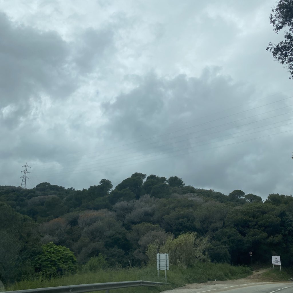 Avui el Consorci del Parc de la #SerraladaLitoral hem aprovat un paquet de mesures contra els efectes del decaïment d'arbres per la sequera. Perquè malgrat la pluja d'aquests dies, són molts els arbres morts als boscos del #VallèsOriental, amb el risc d'incendi que suposen.