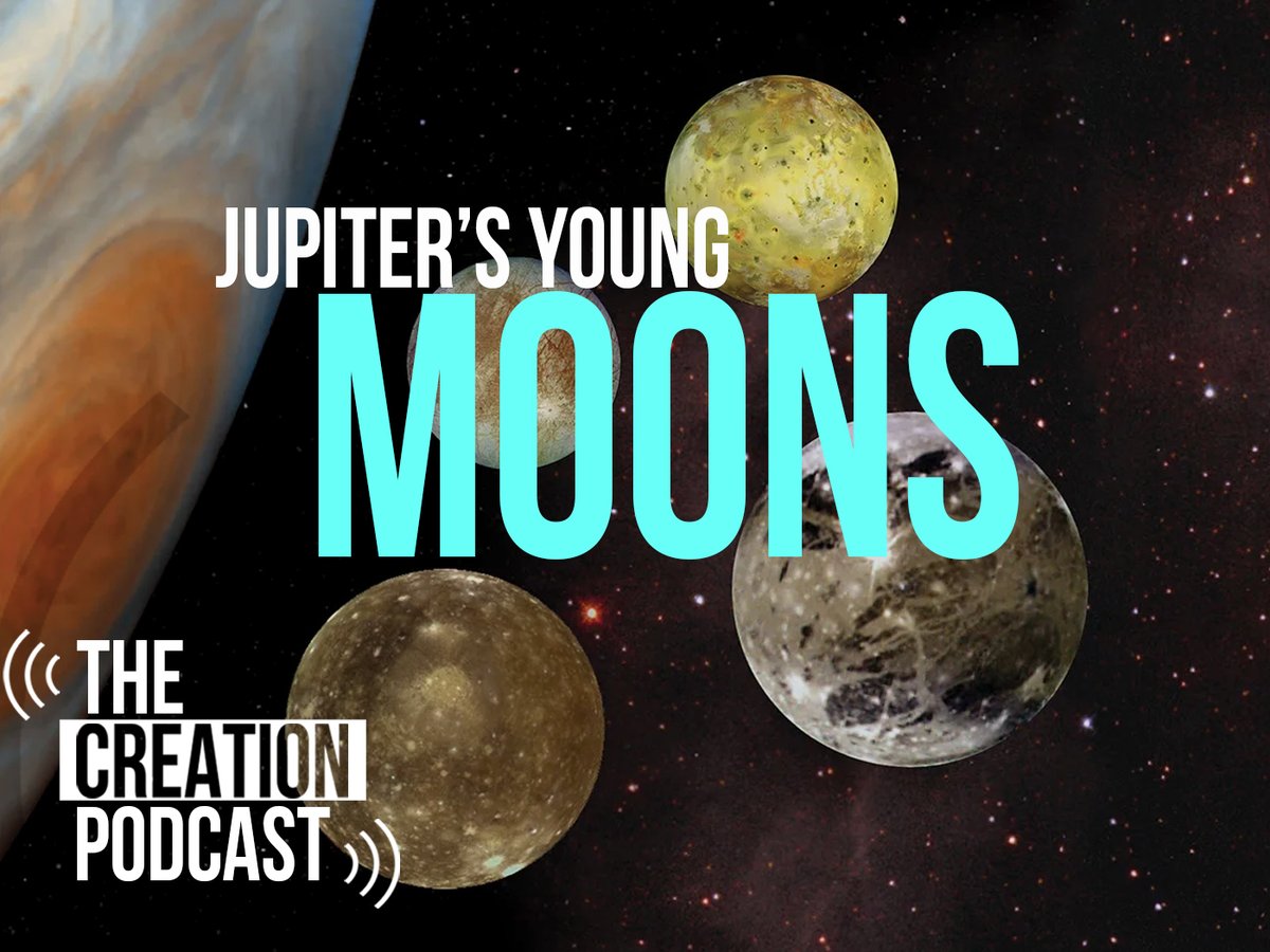 🌕 Earth has one moon, but Jupiter has many! What can we learn from our celestial neighbor's satellites? Do they indicate youth? Watch the full episode: youtu.be/7Ltg_cAGghY?si… #TheCreationPodcast #astronomy #science