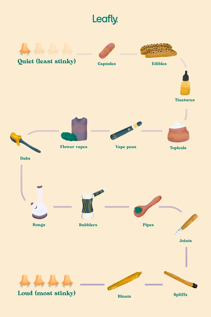 Some weed is louder than others. We mapped the discreet-to-dank spectrum of cannabis smells: bit.ly/3pwqQFw