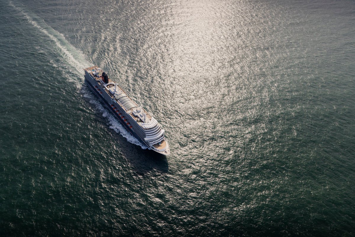 Andrew McAlpine tweet media