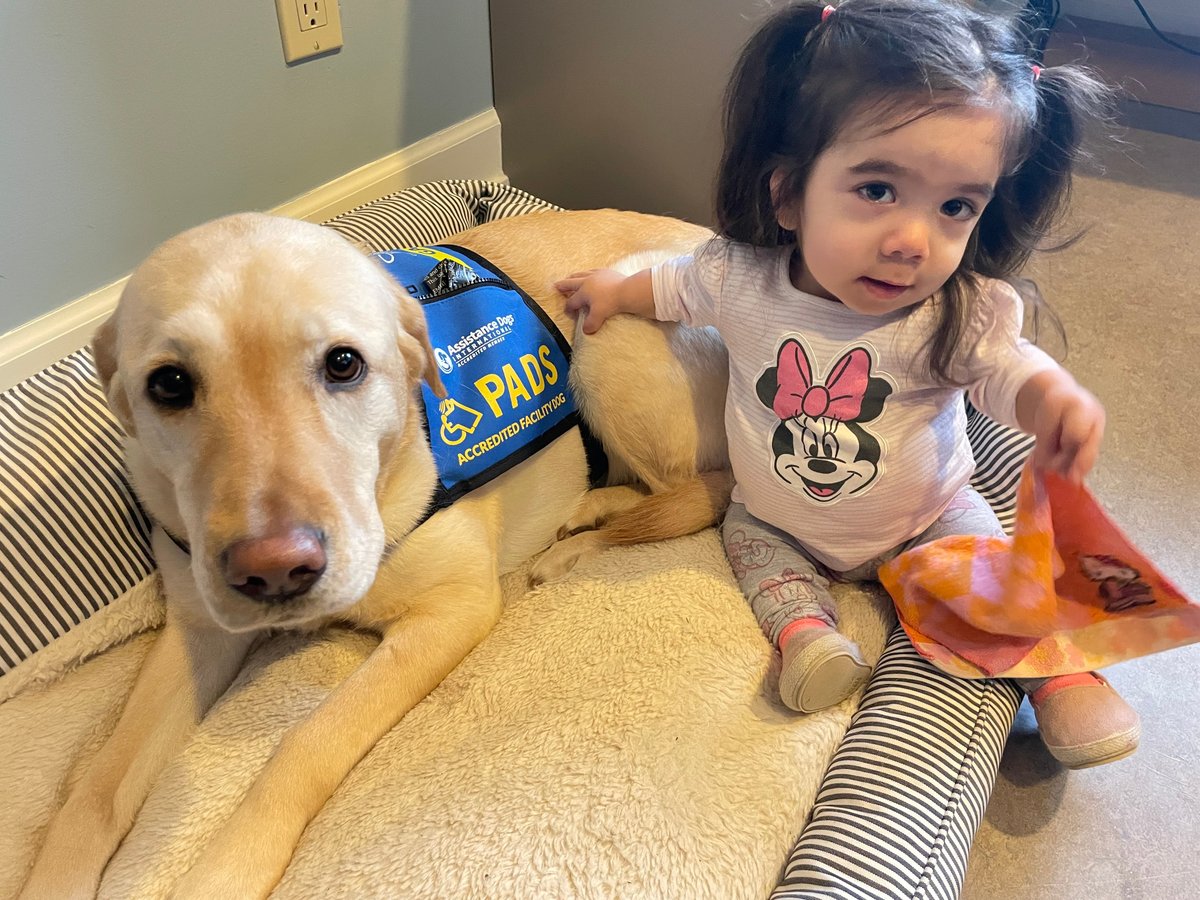 We are celebrating #TherapyAnimalDay with a tail wag to our beloved @PADSdogs Accredited Facilities dog, Gaia! 🐾 💜 Gaia brings joy, comfort, and cuddles to children and families, spreading love in every wag. #TherapyAnimalDay #CanuckPlace