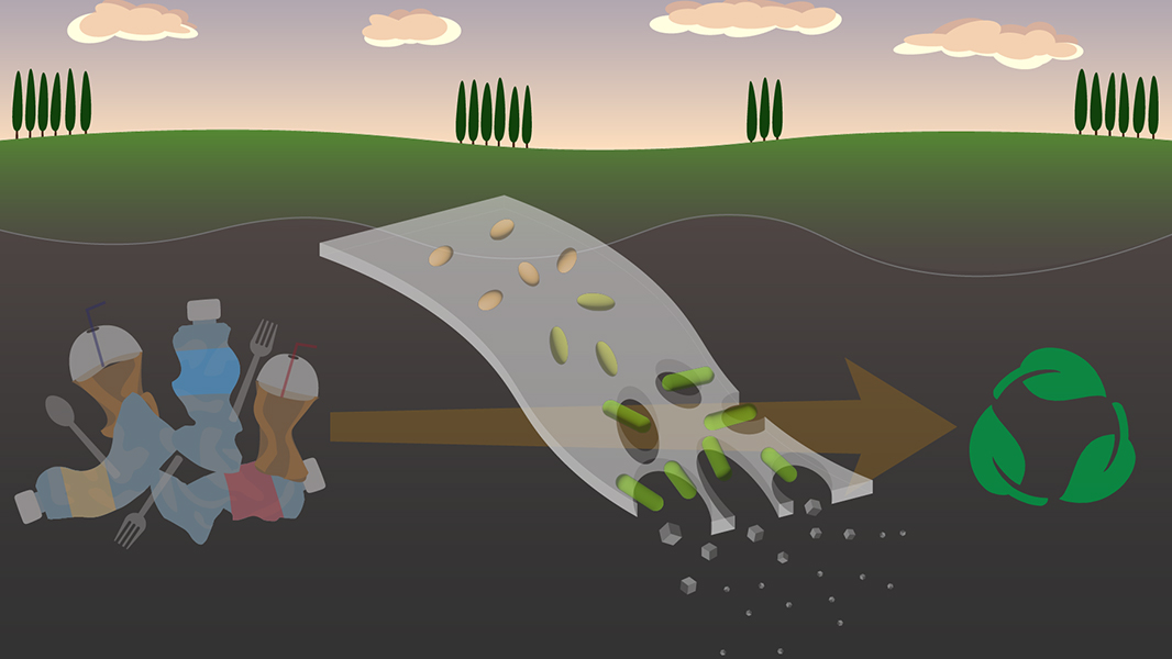 A paper in @NatureComms describes a type of plastic embedded with microbes that can help to rapidly degrade it after coming into contact with soil. go.nature.com/4dkocXB