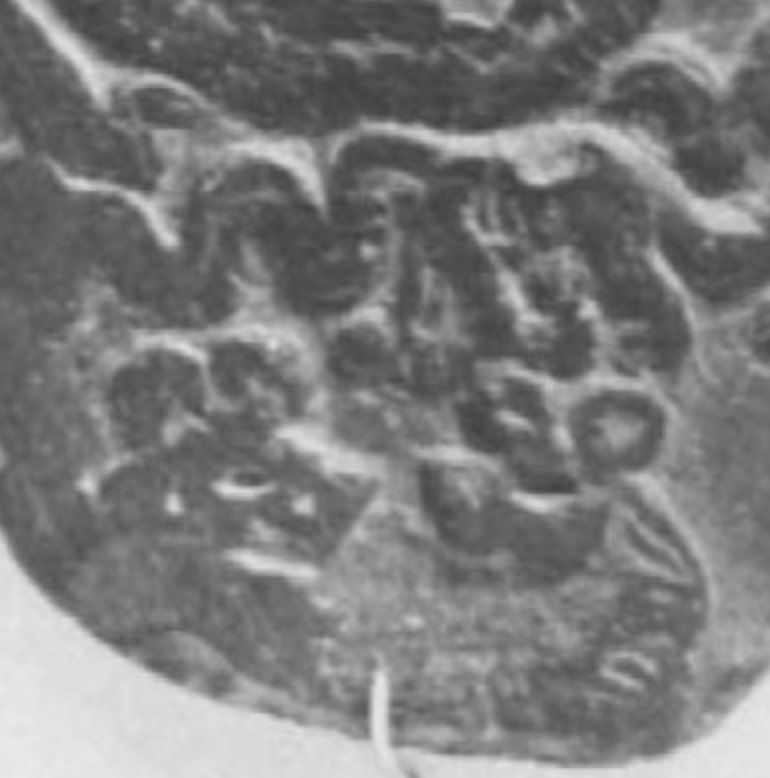 InstVarsovienne's tweet photo. details of Sauropods' heads from the back side of the #Narmer palette (on the right; from the predynastic Hierakonpolis; we've postulated that it's a fragmentary representation of the area in todays Argentina (near Monte #Zevallos, the so called "Mandara mountain of #Patagonia"). https://t.co/zWHMAEWUzd