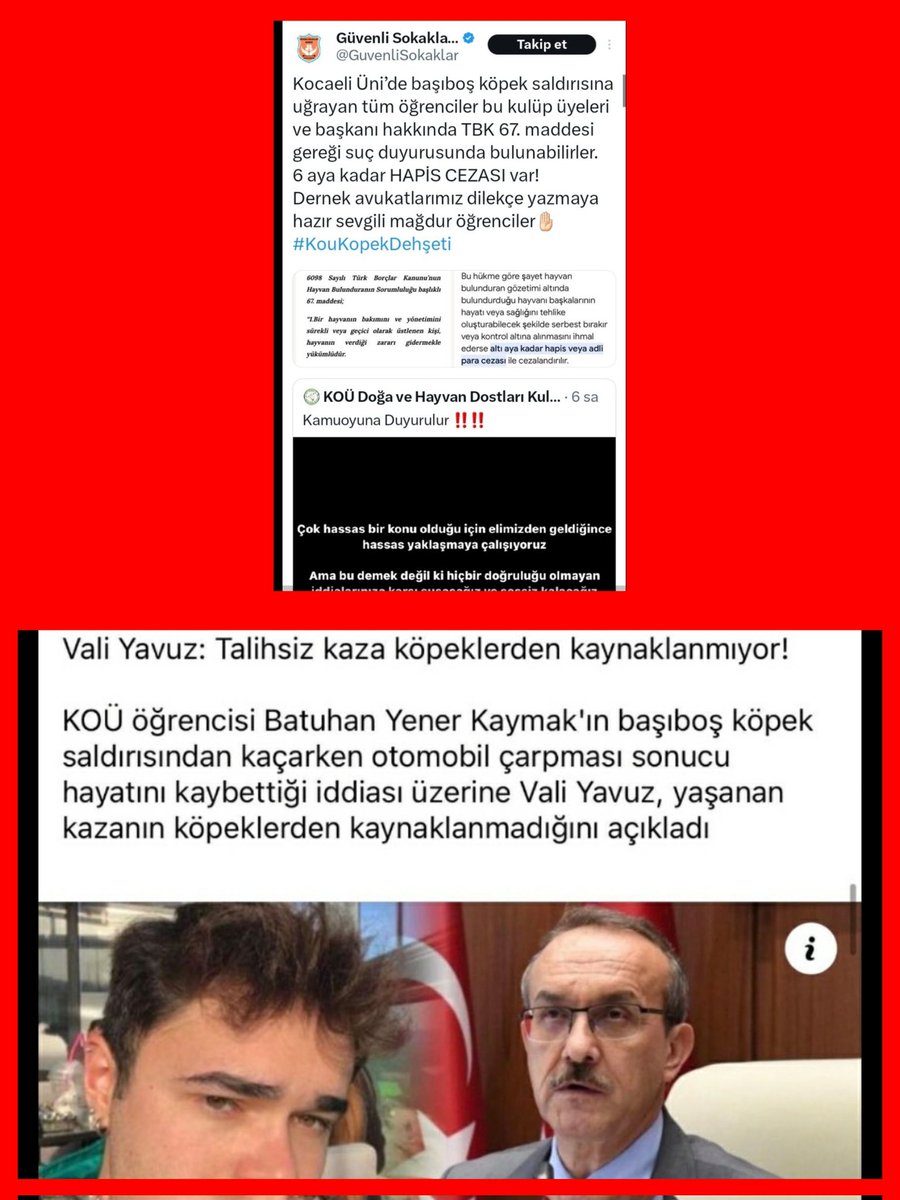 @Soner88166072 Katili aklayıp, katlettirdiğiniz bütün masum hayvanların ahı da sizin üzerinizde olsun. İstersen devamını yollarım. Arsiv çok.