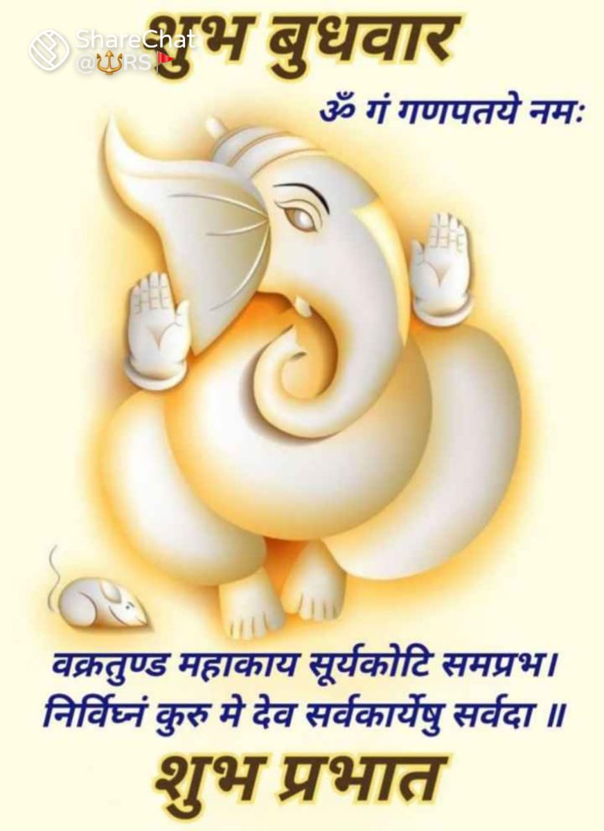 ॐ गं गणपते नमः 🙏🚩 जय पर्वतनन्दन श्री गणेश 🙏🙏 सुप्रभात 💐☕