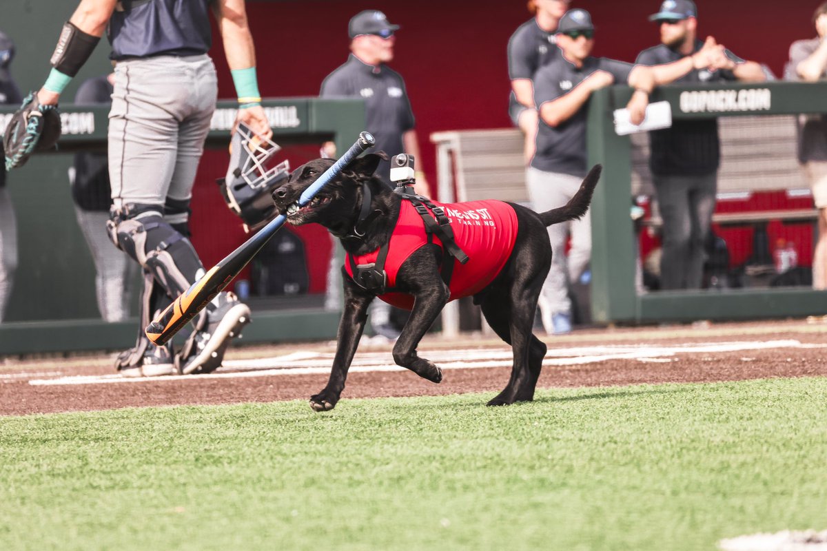 NCStateBaseball tweet picture