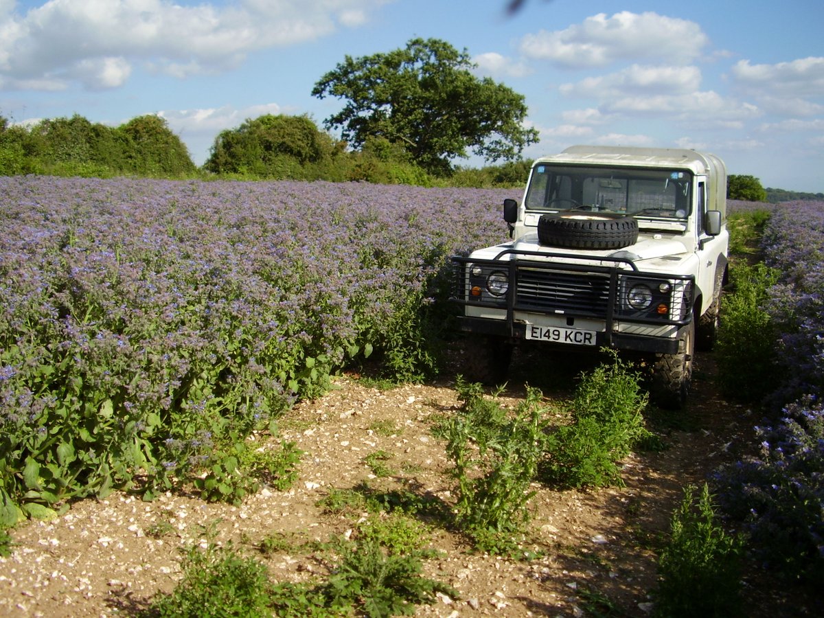 @GwenynGruffydd @Ford @forduk @FordPro I had an old Landy 110 first, then a shiny Mazda p/u. Landy the better off-roader. But worth their weight! I miss them now.