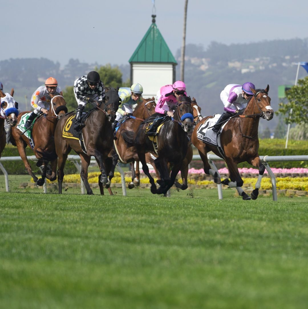 Already thinking about the weekend. #GoldenGateFields