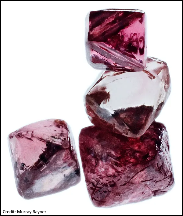 raspishake's tweet photo. What was once the world’s most prolific pink #diamond mine has always been an anomaly. New #research suggests that the end of an ancient #supercontinent helped rocket its precious #gems to the surface.
Read more on @AGU_Eos ➡️ https://t.co/fECjQ9bSXV https://t.co/IIMcNusK3q