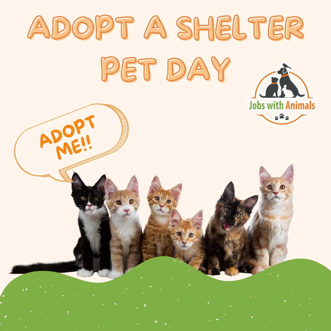 Today and every day, let's celebrate the joy of adoption! Happy Adopt a Shelter Pet Day to all the amazing souls who open their hearts and homes to shelter pets. Your love changes lives. 🐾❤️ #AdoptAShelterPetDay #RescueLove