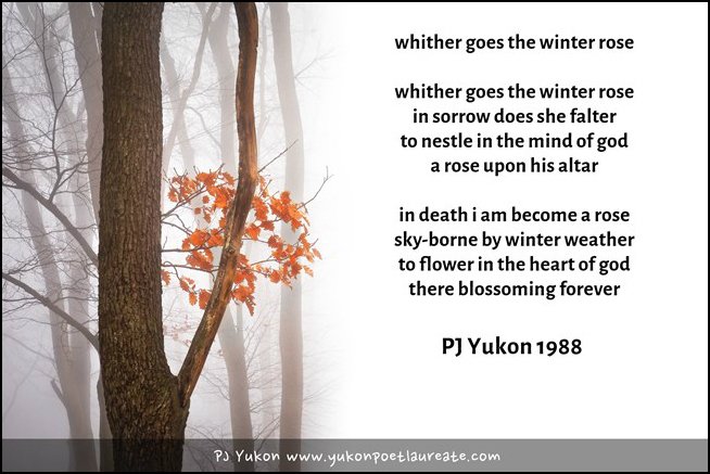 They say that when we say the name of our lost ones they hear us. We keep their spirit alive. Posting this in honour of a little girl named Zoe Rose.🌹@PJ_Yukon #poetry #Yukon #NationalPoetryMonth yukonpoetlaureate.com