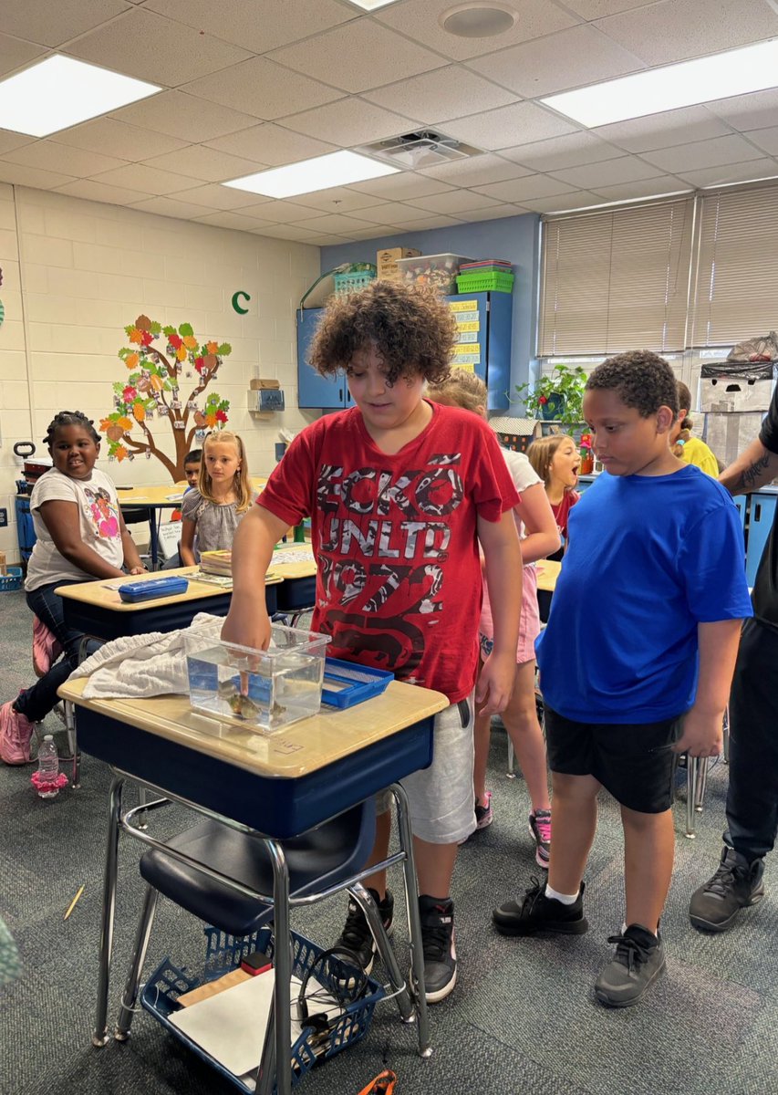LehighElem's tweet photo. Galan and Torres class- 3rd graders touching a snail during out program called Mollusks on the Move from the Bailey-Matthews Shell Museum. https://t.co/hoLeANyE7z