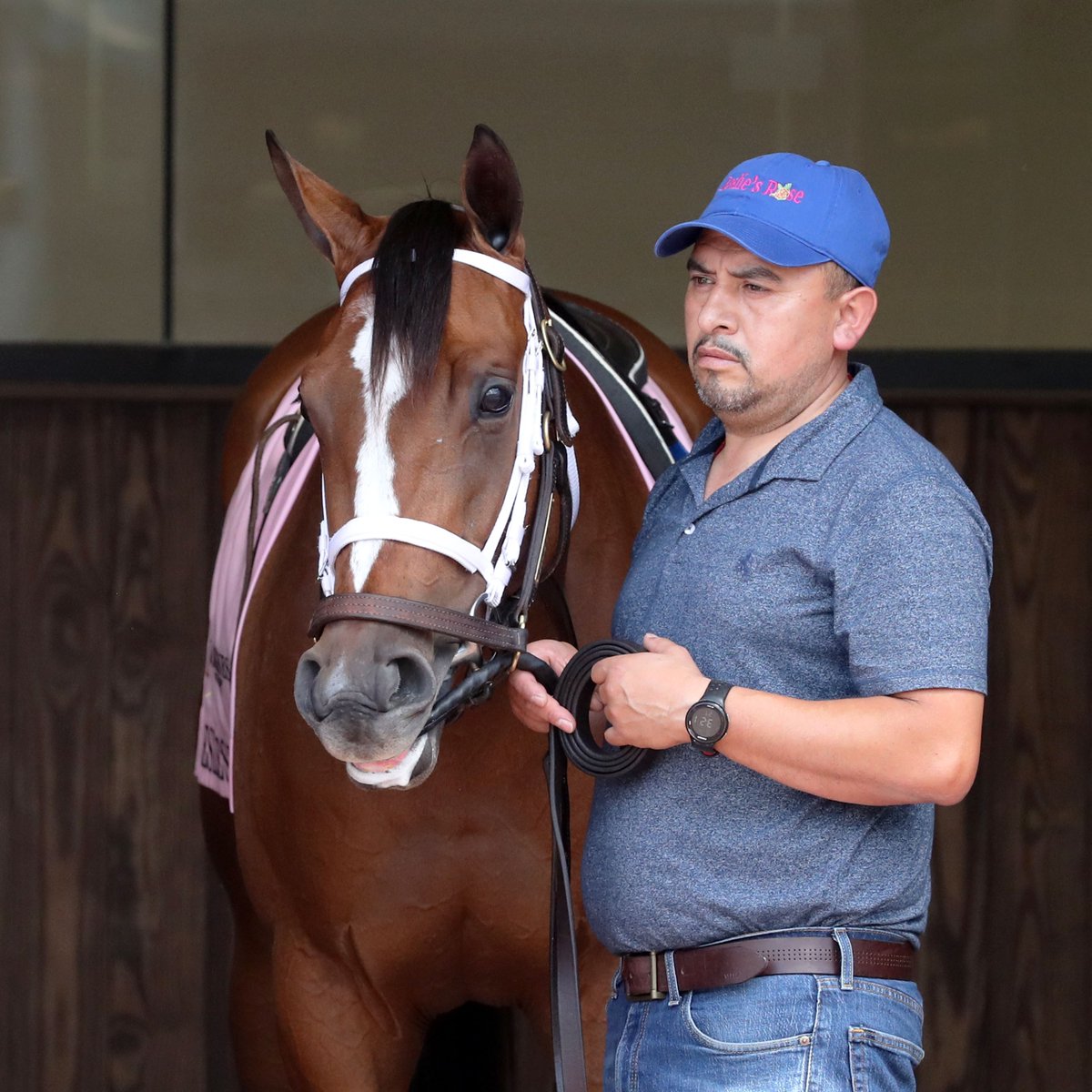 ChurchillDowns tweet picture