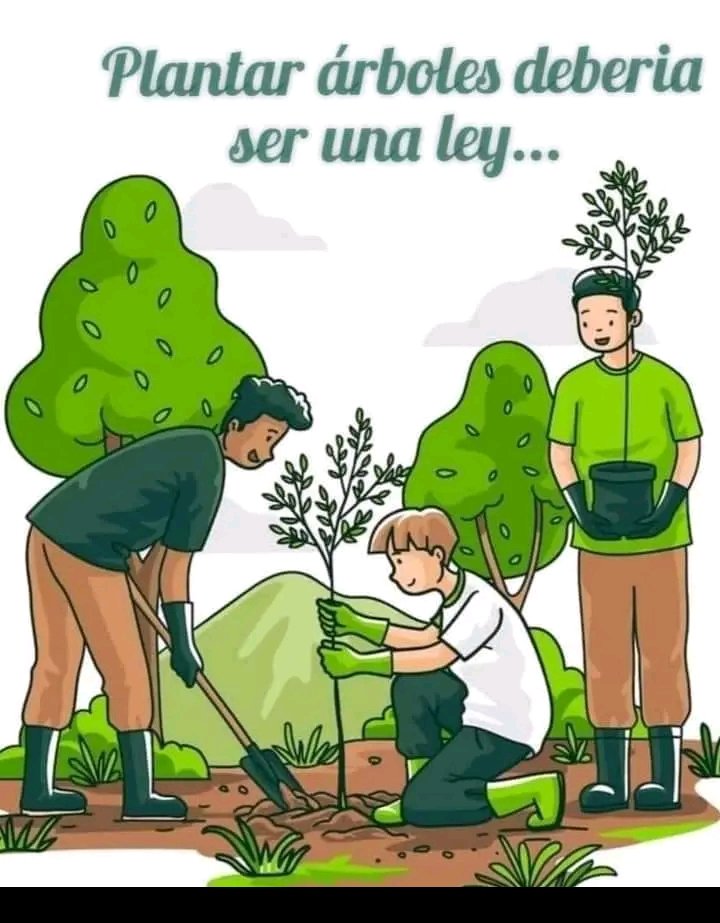 Cuidar los ríos y los árboles ,es tarea de todos #EducaciónBueyArriba #CuidemosElMedioAmbiente @MartiYalenis @ortiz_uriarte @YudelkisOrtizB