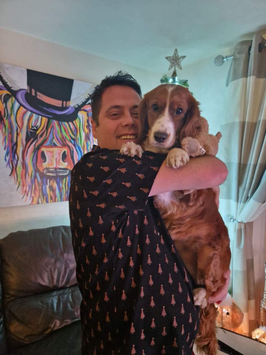 Susie The Cocker Spaniel tweet media