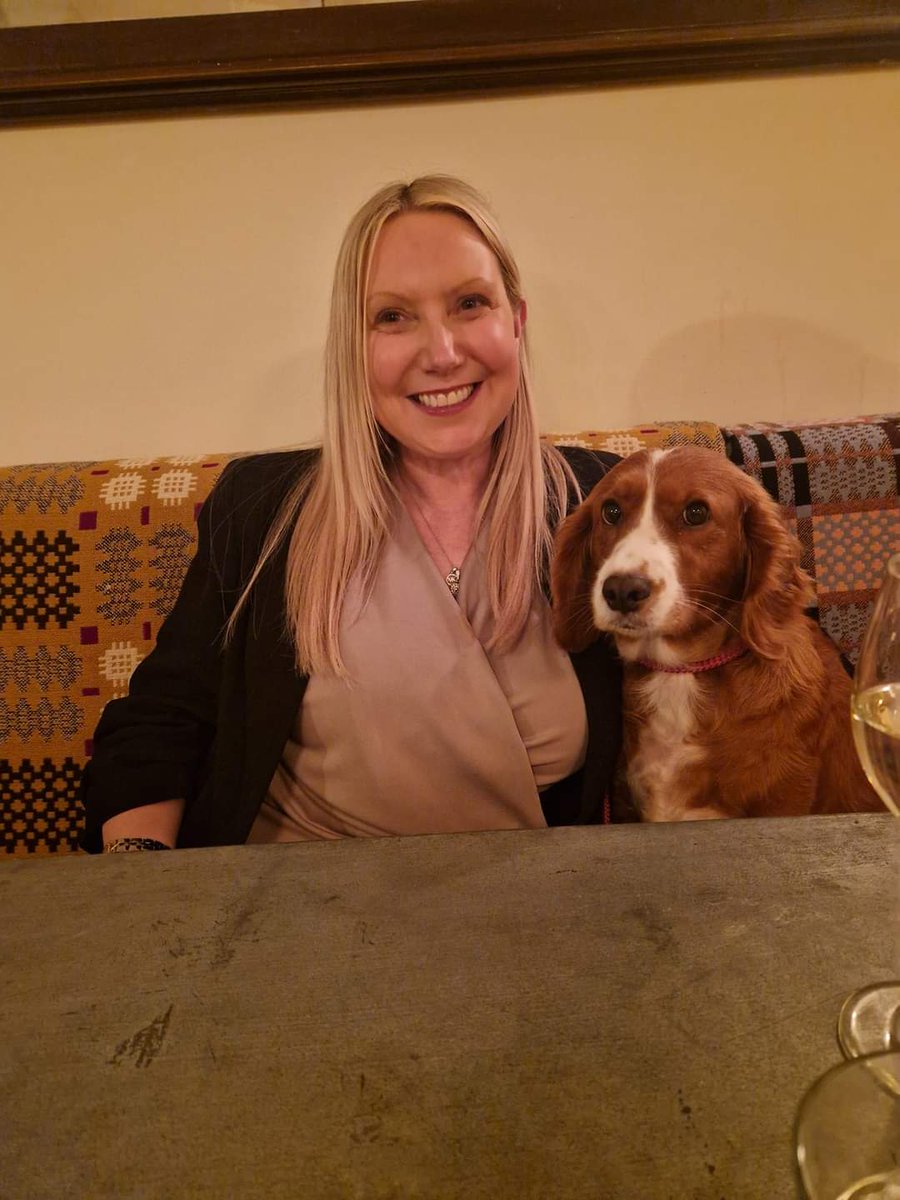 Susie The Cocker Spaniel tweet media