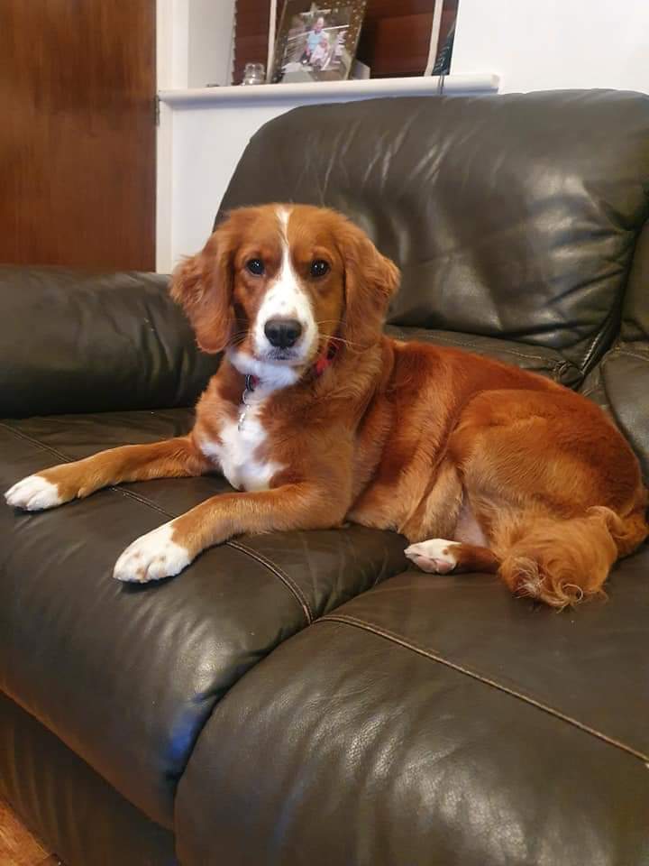 Today is my 5th Birthday and want to celebrate this with all my fwends on twitter  🎁🎈🎉🥳